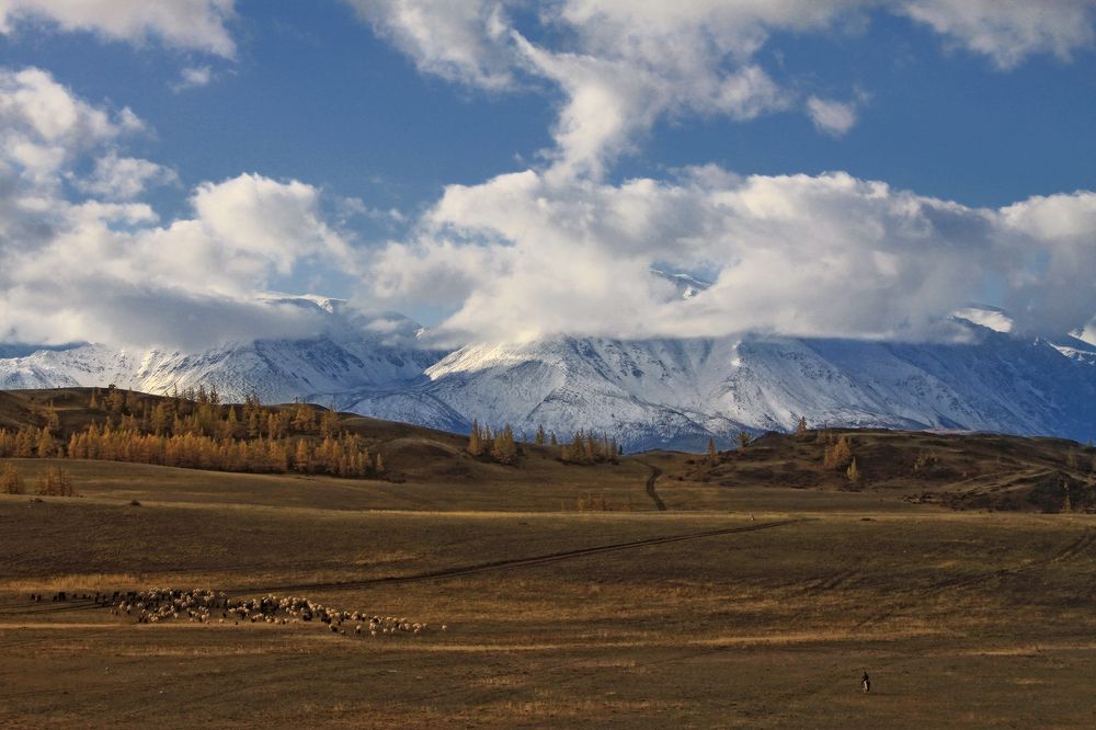 Курайские просторы
