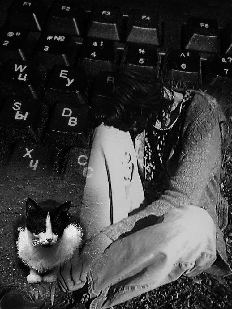 Photo 1254190