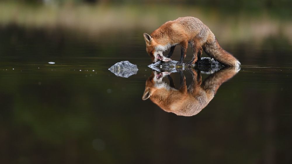 Photos by Juraj Bencik