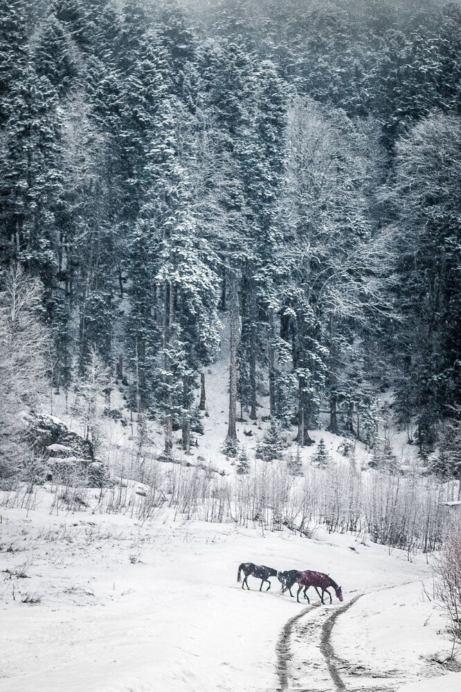 Photo 1254696