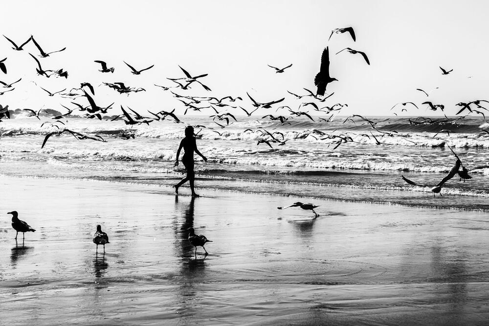 Photo 1254697