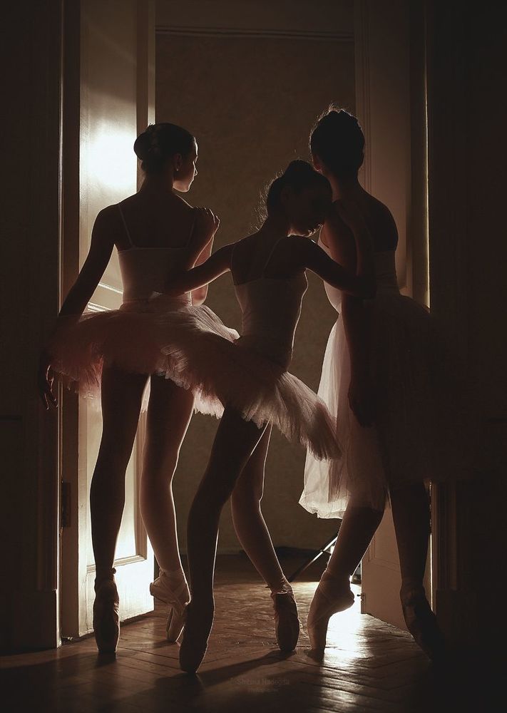 Photo 1256008