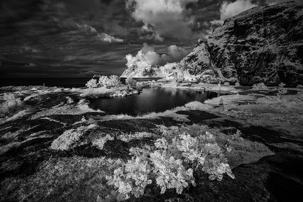 Infrared Album