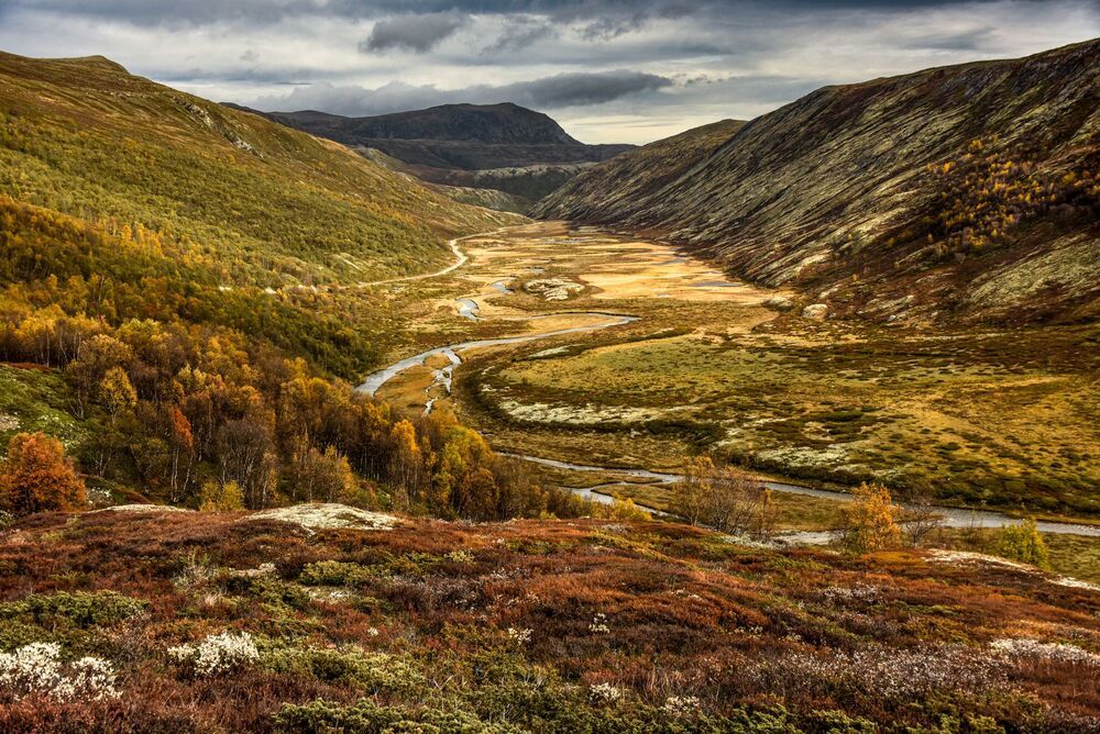 Norwegian Landscape