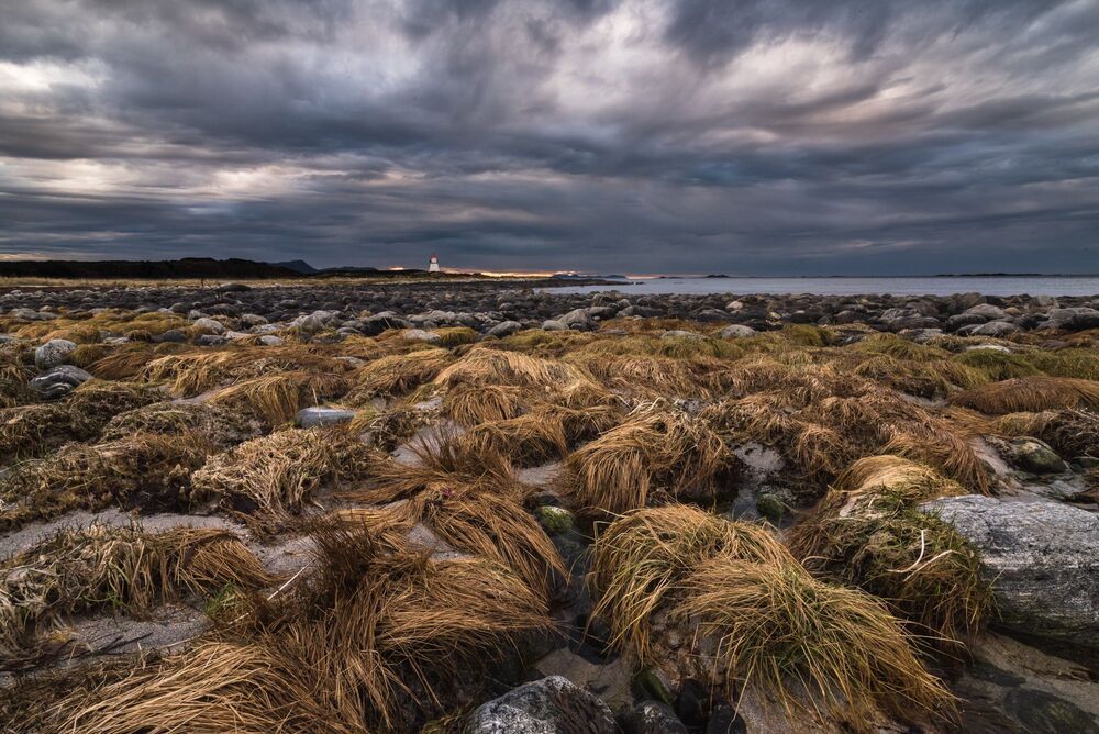 Norwegian Landscape