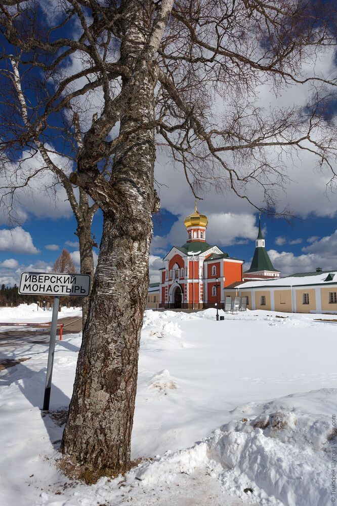Весеннего неба глоток