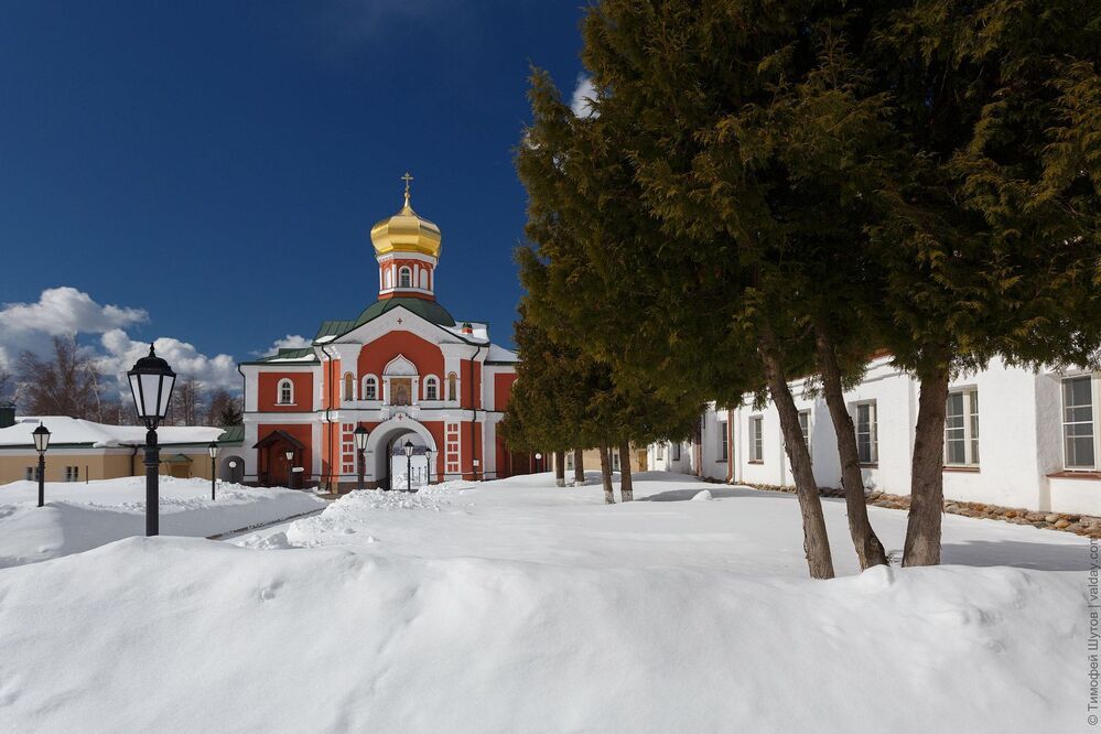 Весеннего неба глоток