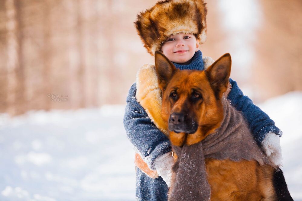 Кузины забавы