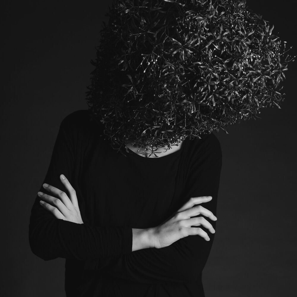 Photo 1261768