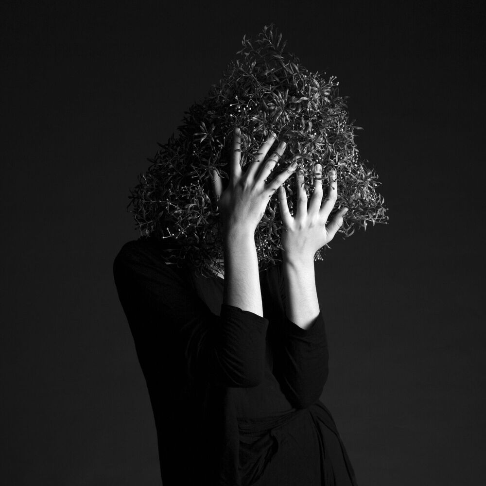 Photo 1261769