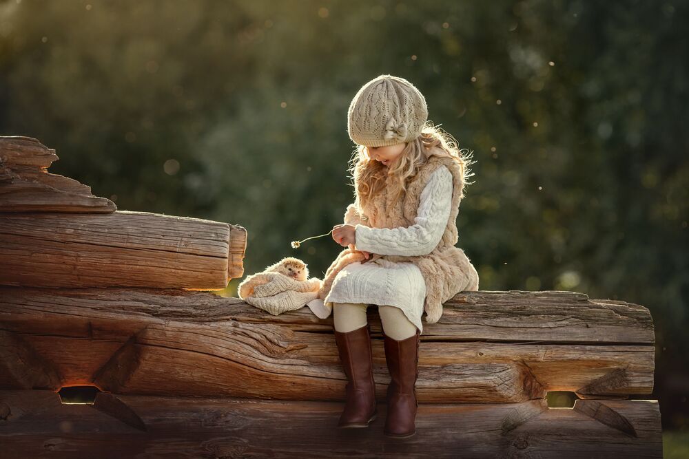 Photo 1262072