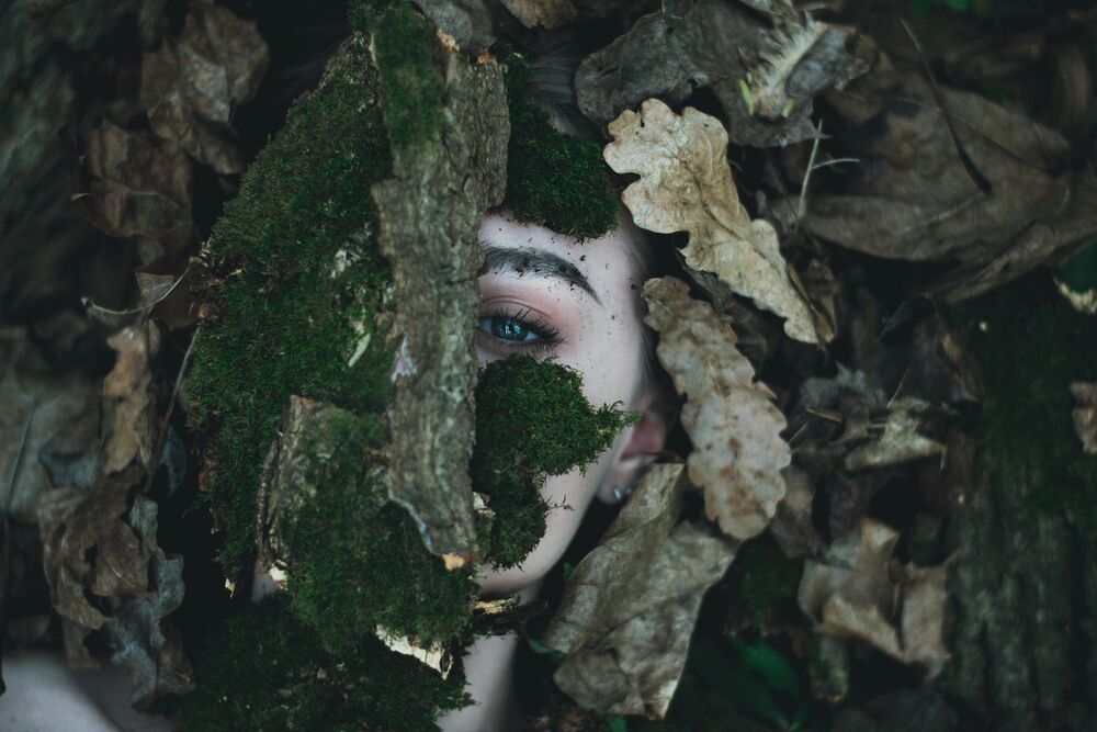 Photo 1262783