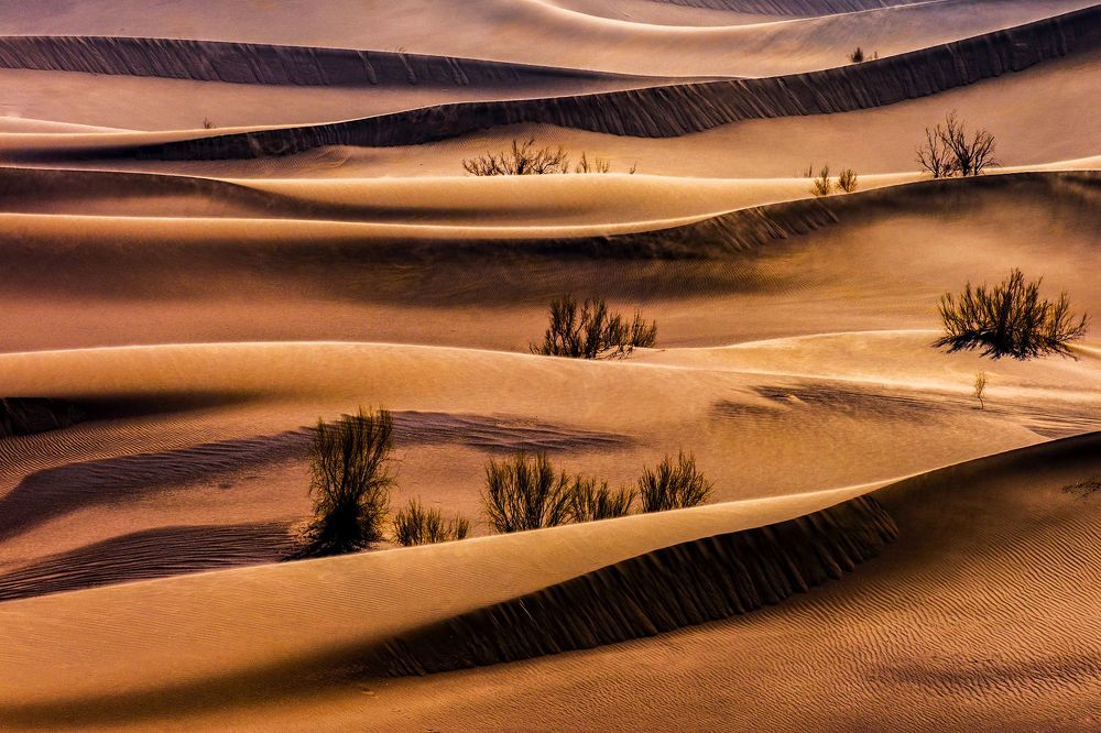 Colorful landscapes