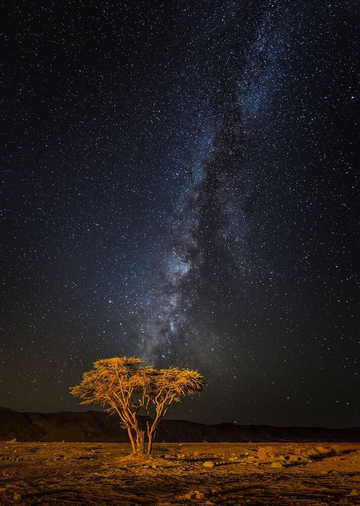 Landscapes, nightscapes & dreamscapes