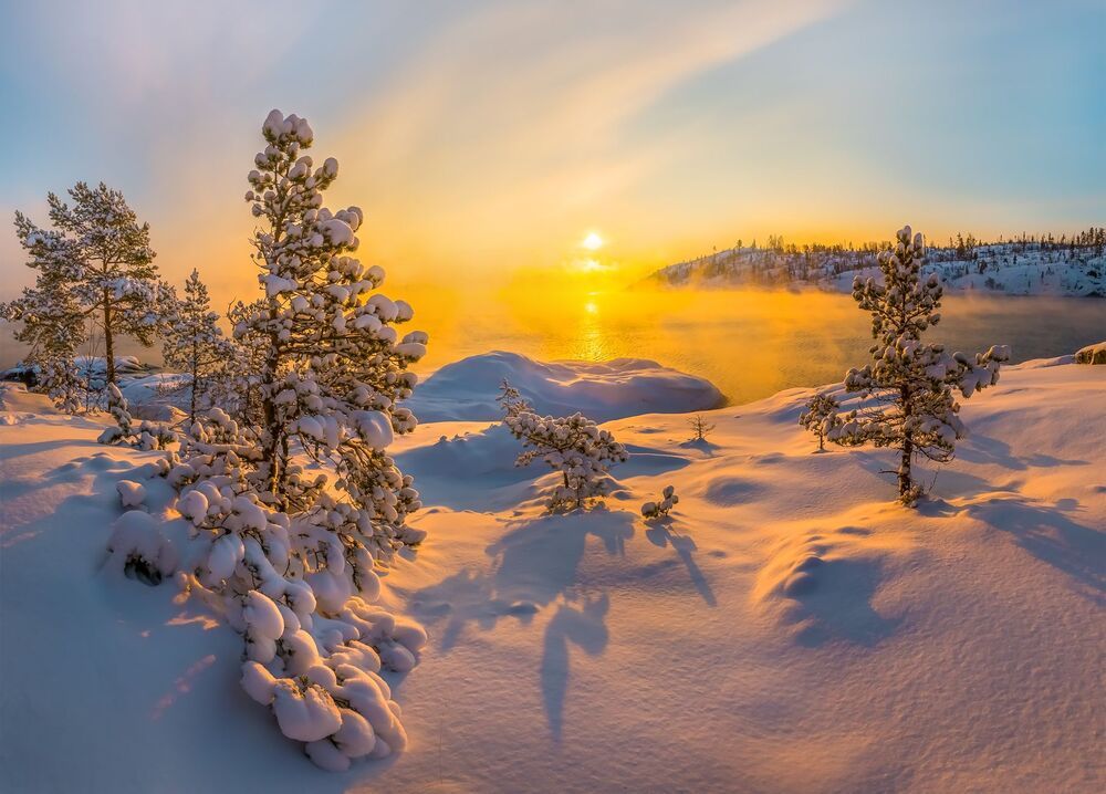Медовое солнце тёплой зимы.