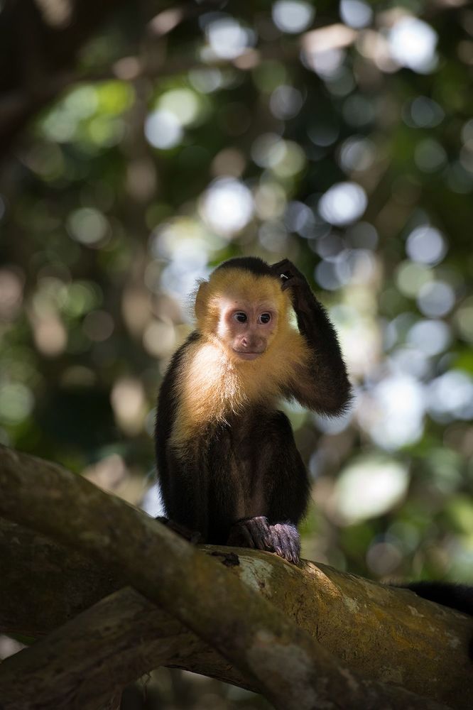 Costa Rica
