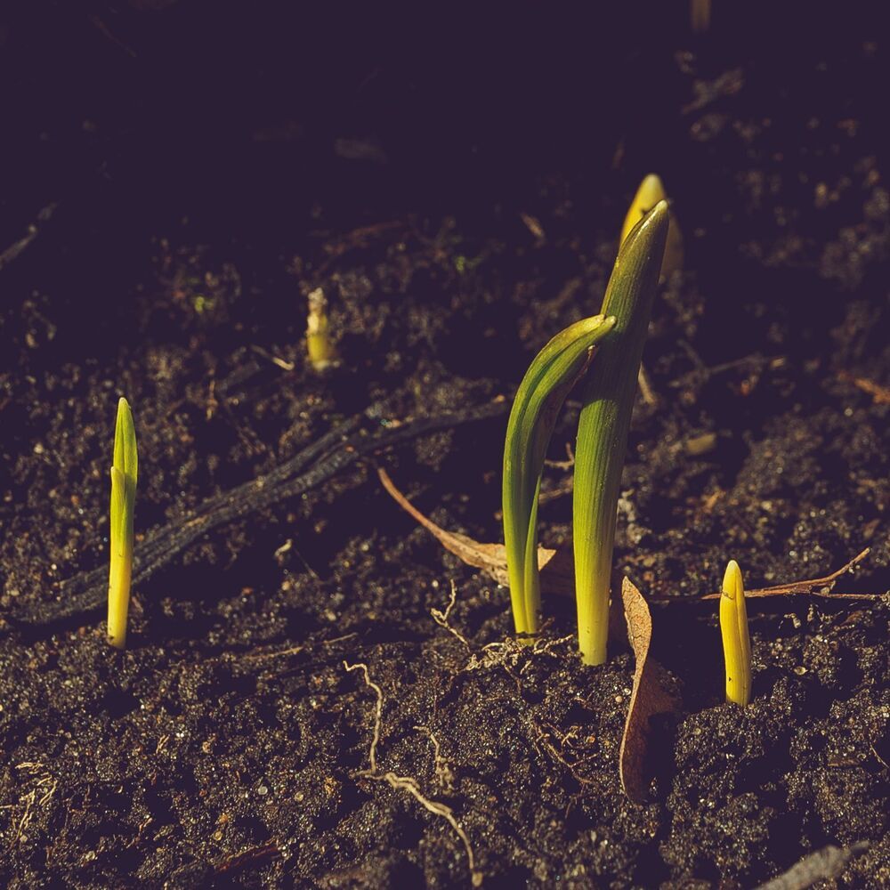early stories