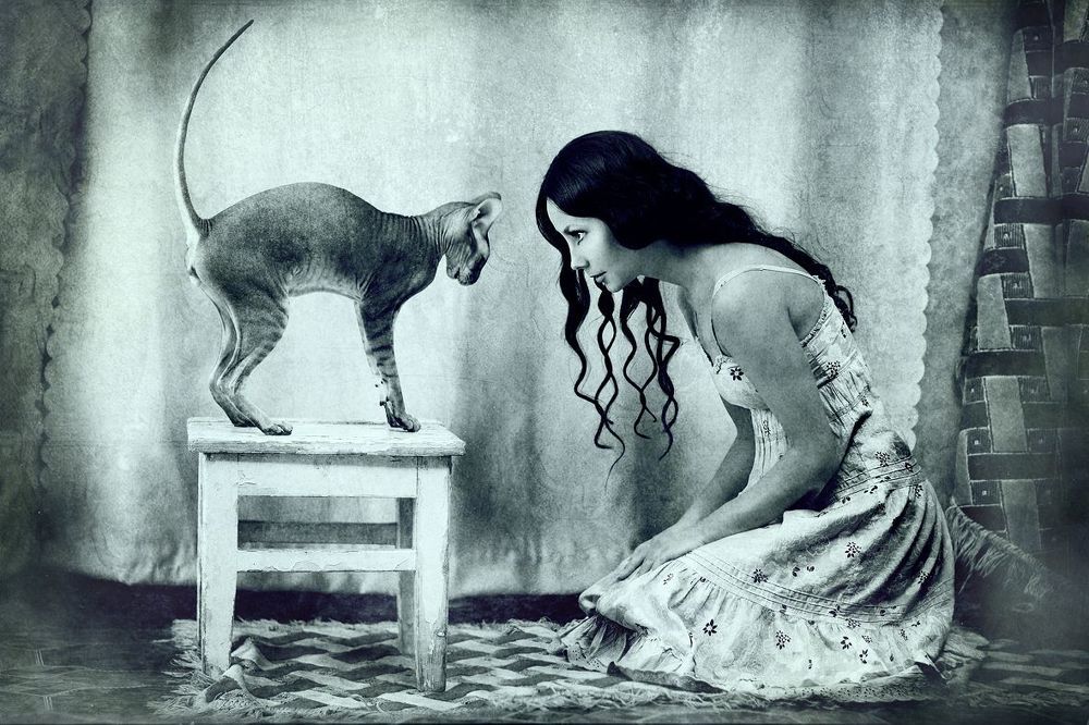 ALICE