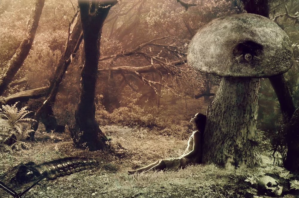ALICE