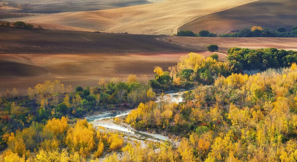 Land of Peace