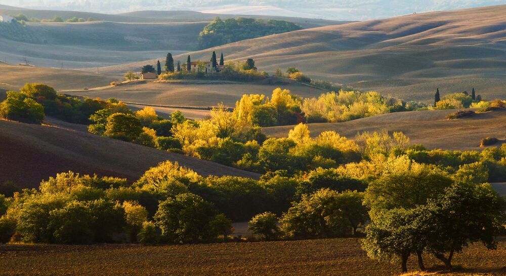 Land of Peace