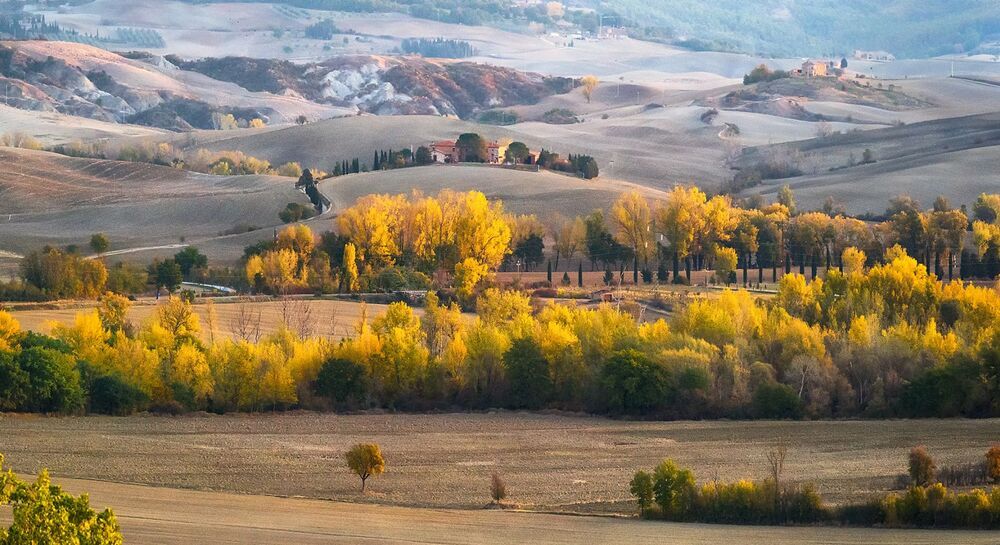 Land of Peace