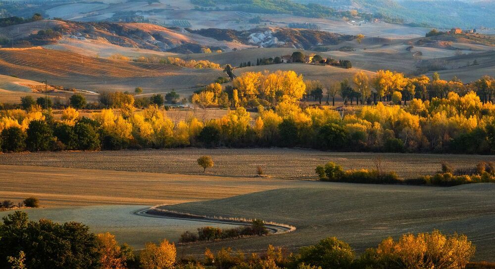 Land of Peace