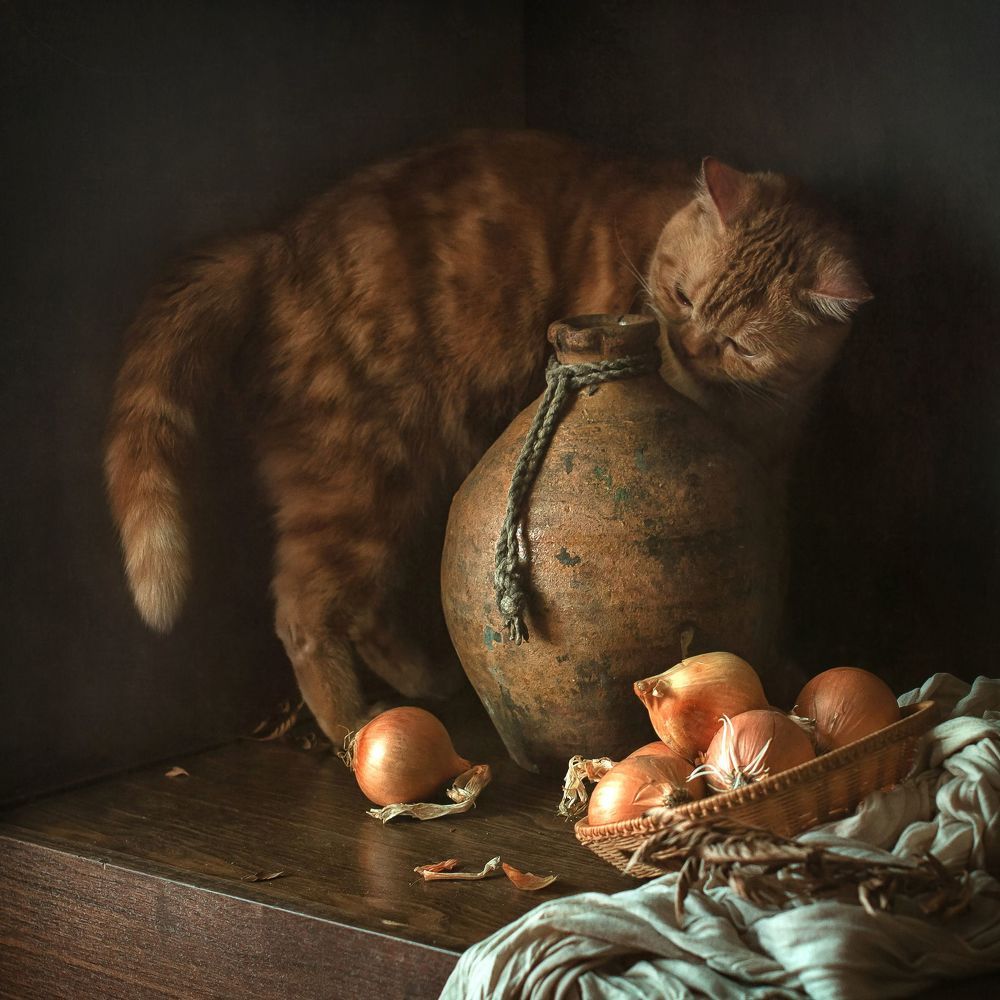 Чудо луковое