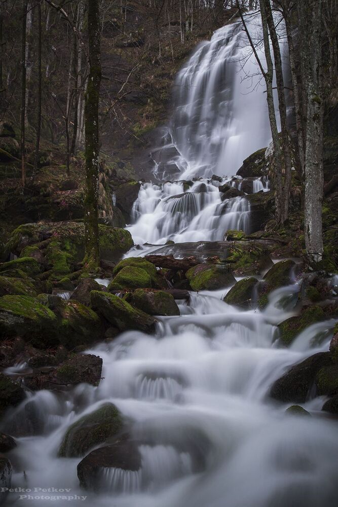 Photo 1268455