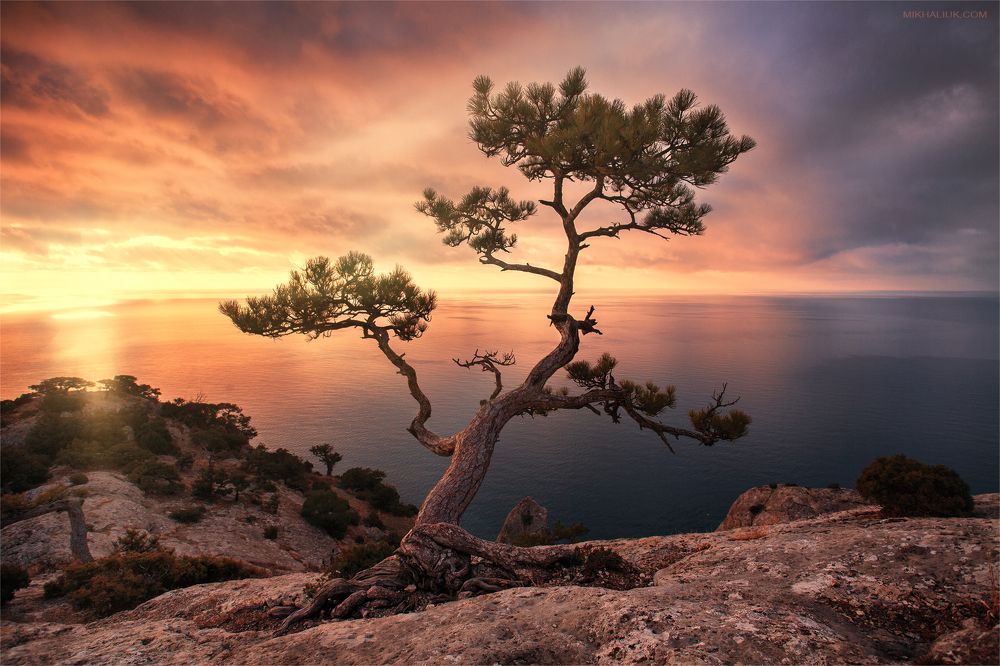 Красота Крыма