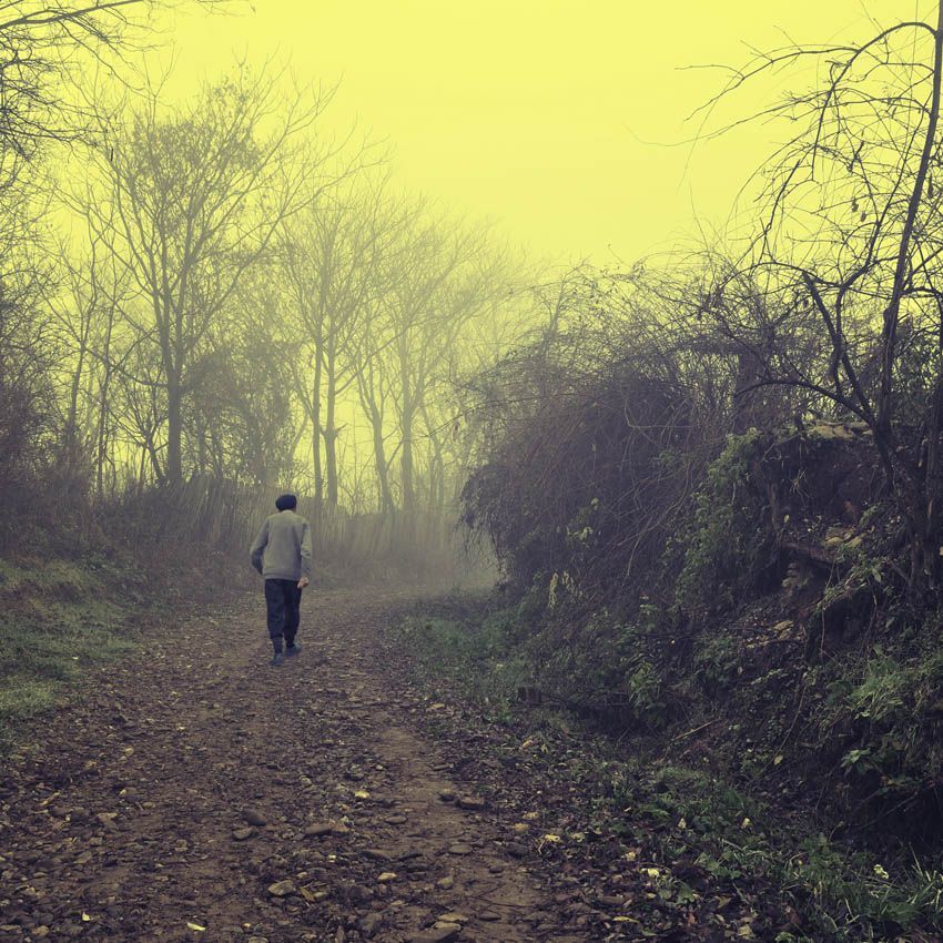 Alone II