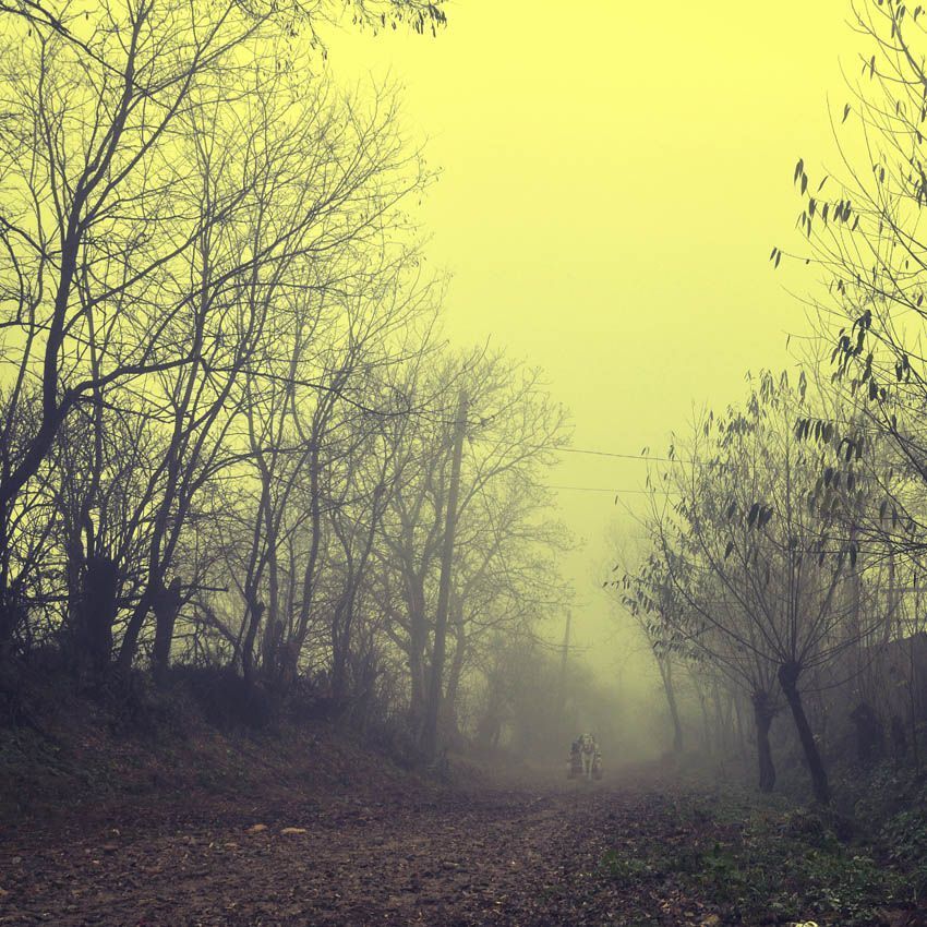 Alone II