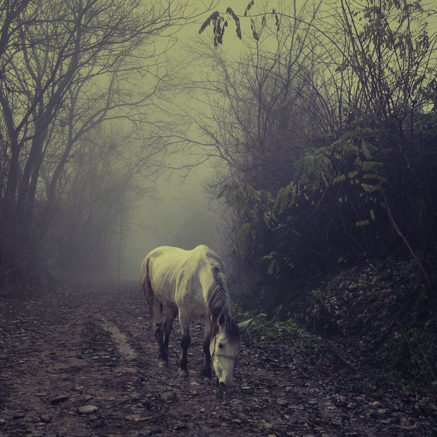Alone II