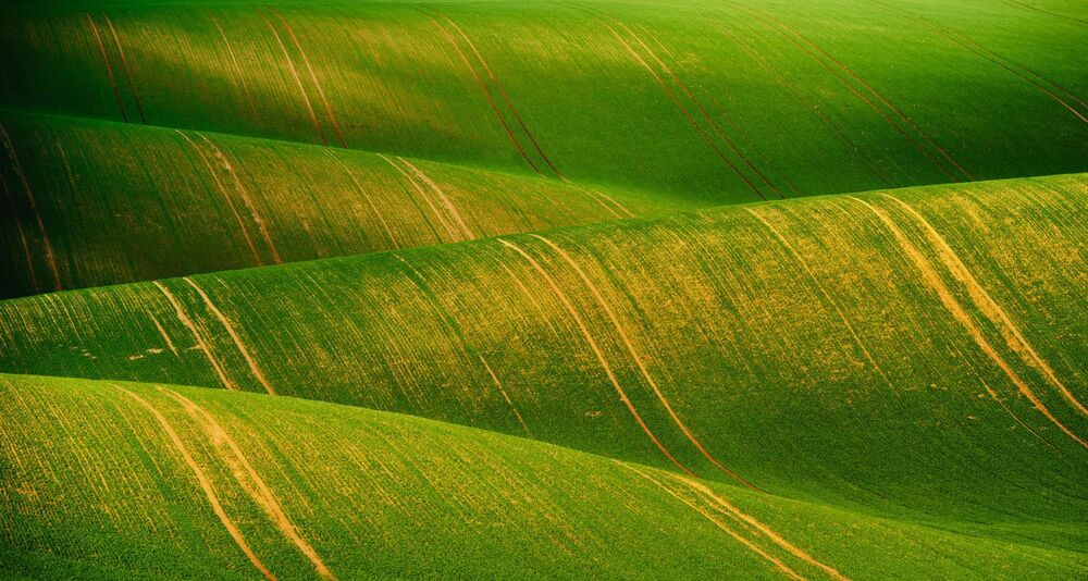 Moravia Tuscony