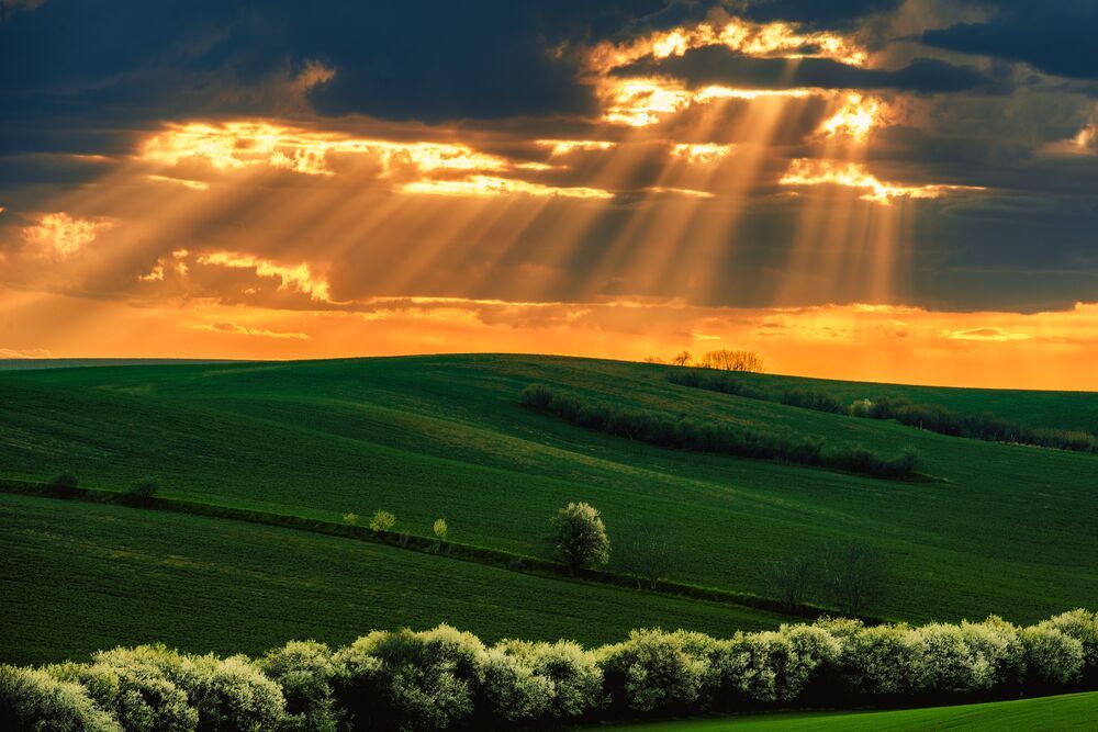 Moravia Tuscony