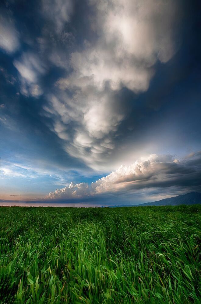 nature and wildlife photography