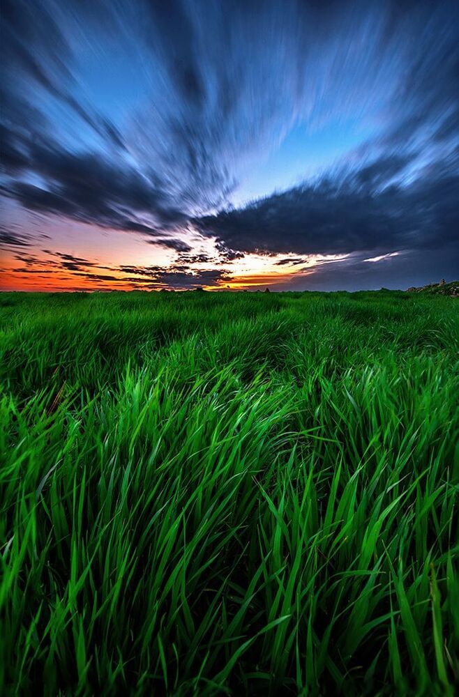 nature and wildlife photography