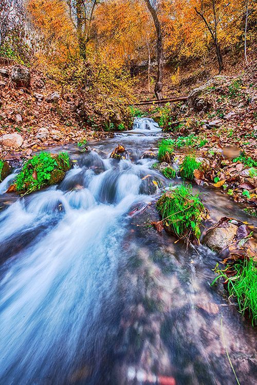 nature and wildlife photography