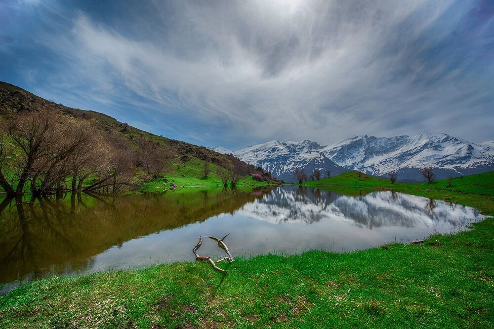 nature and wildlife photography