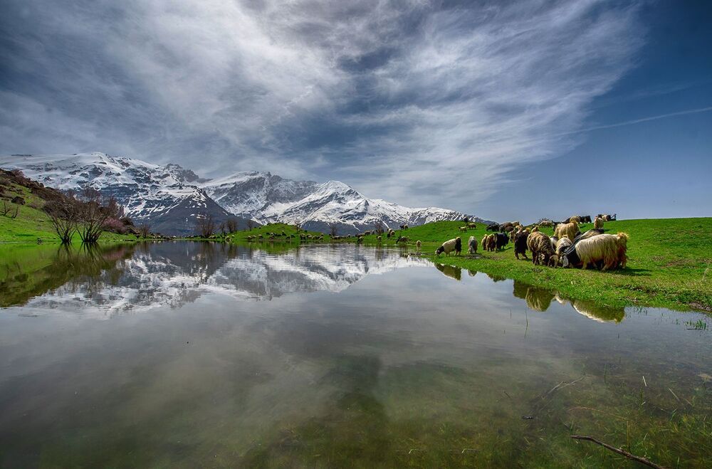 nature and wildlife photography