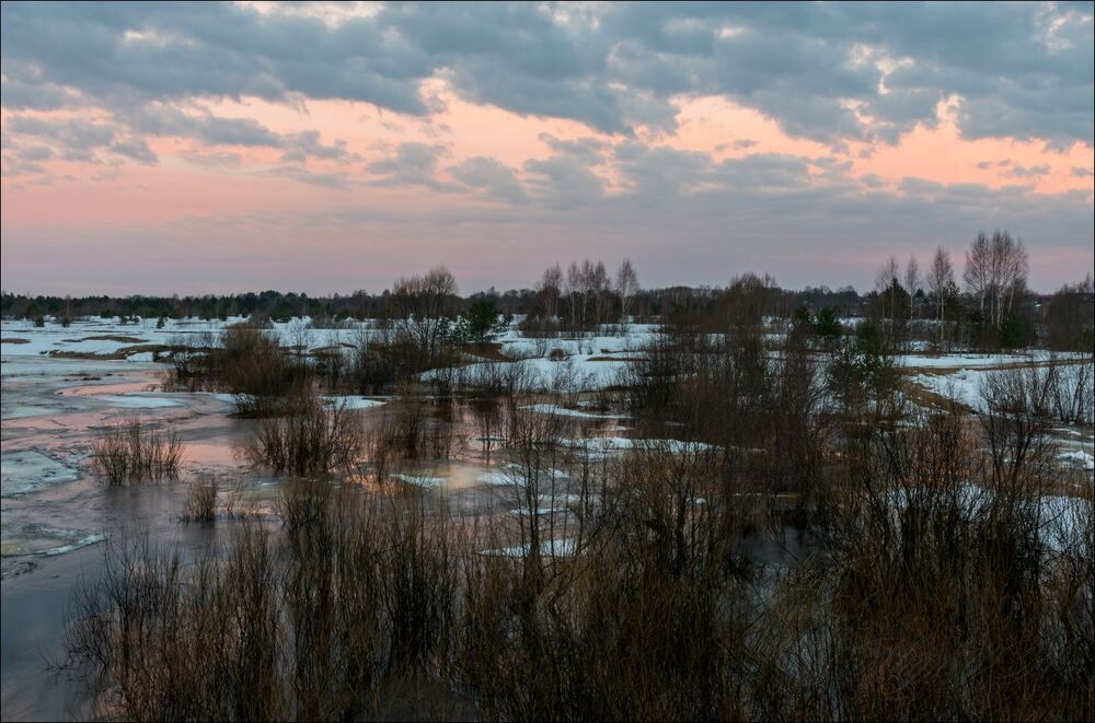 Предвосходные краски
