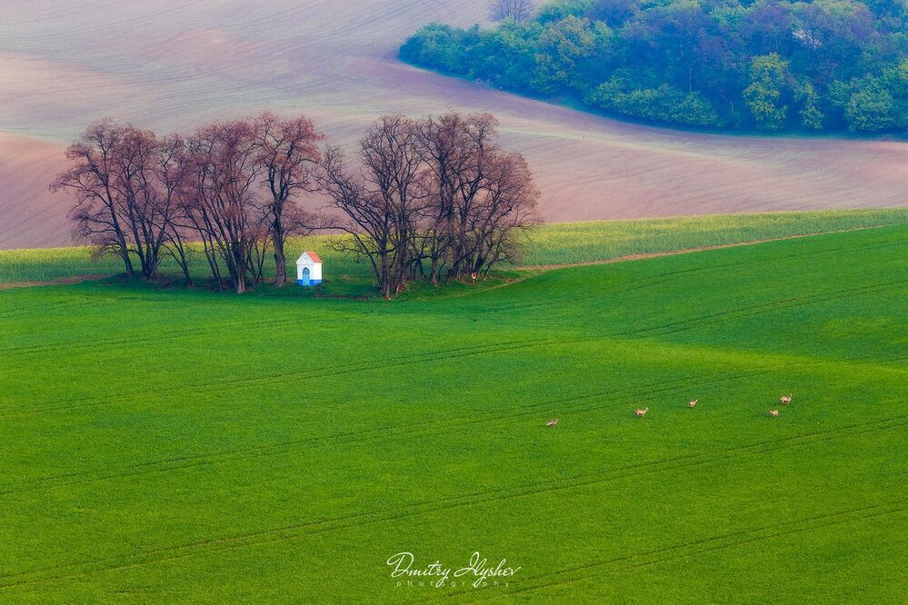 http://ilyshev.photo