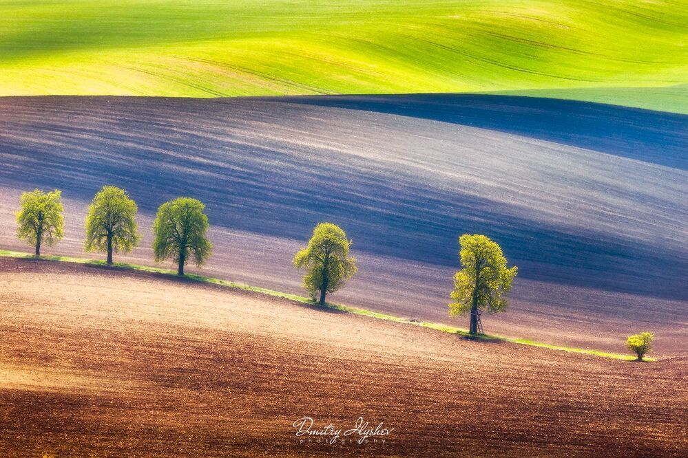 http://ilyshev.photo
