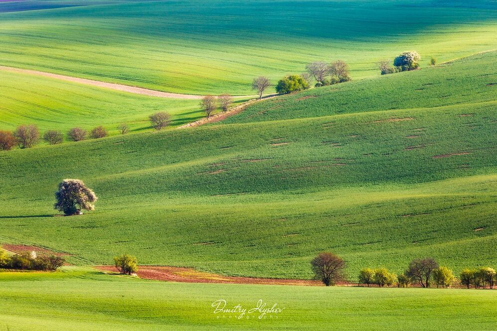 http://ilyshev.photo