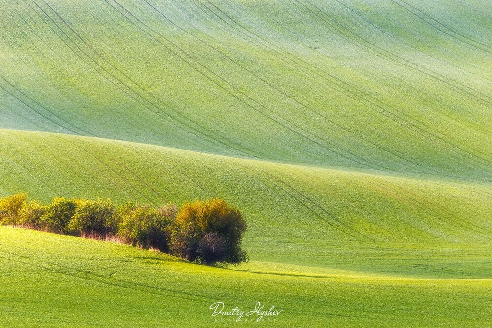 http://ilyshev.photo