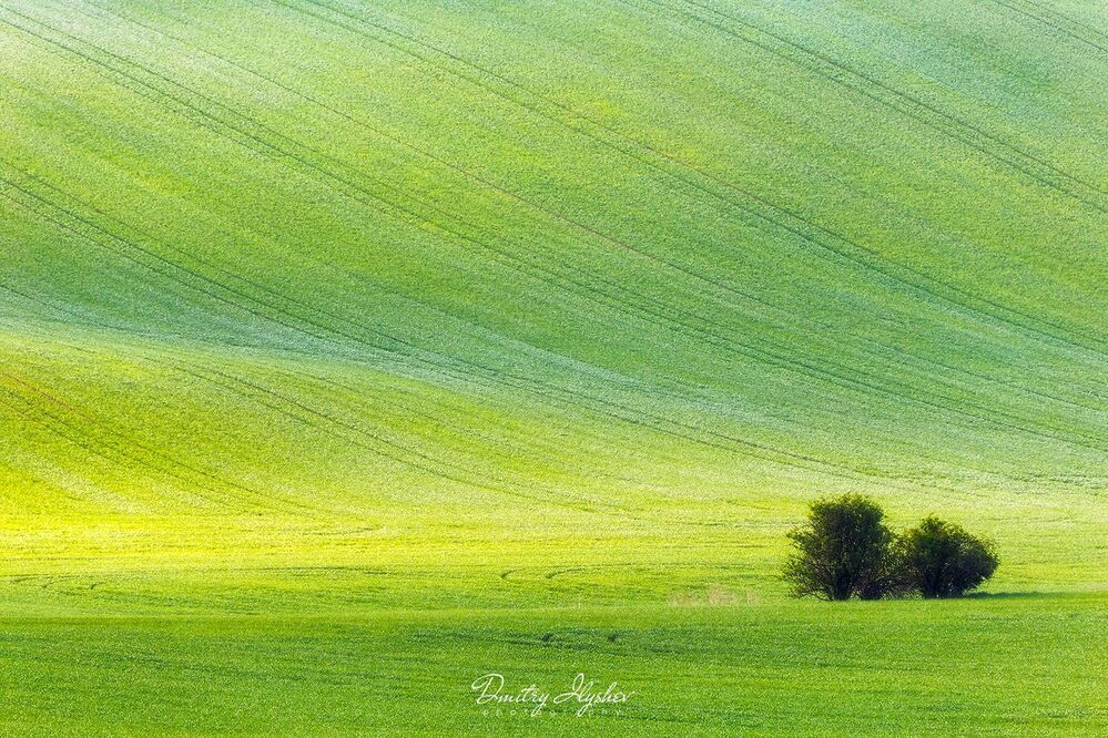 http://ilyshev.photo