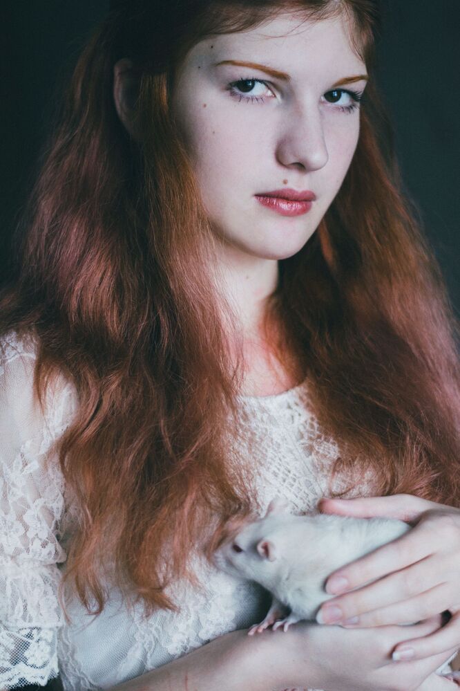 Photo 1271957