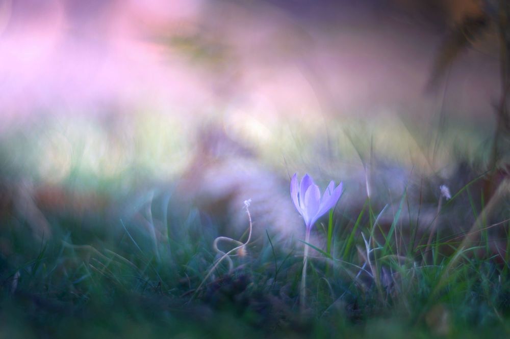 Nature