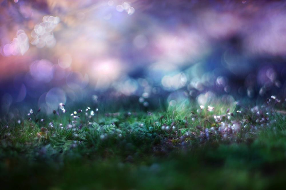Nature
