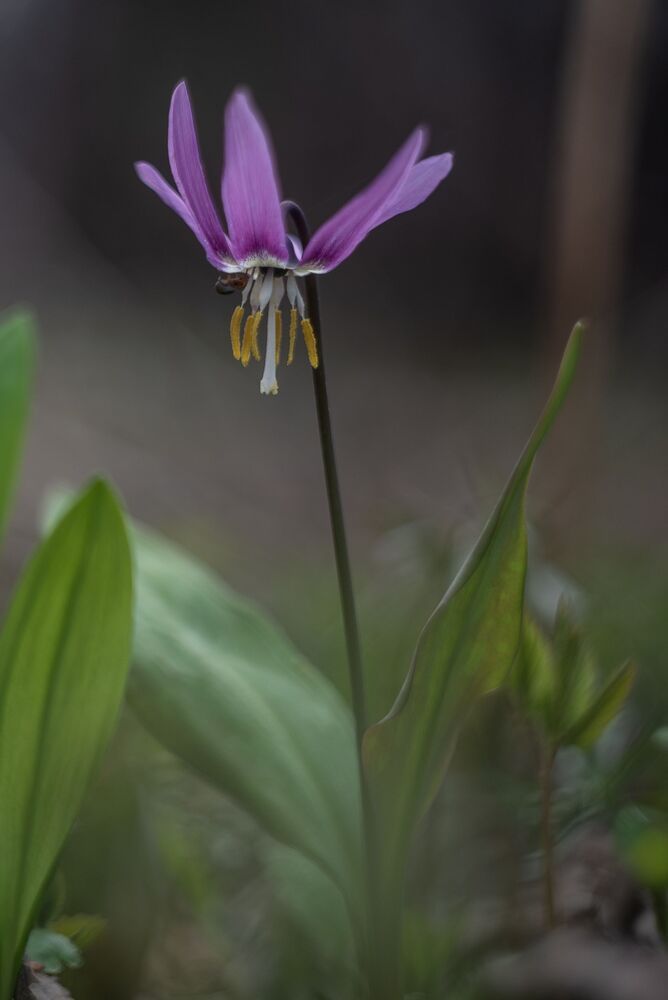 Photo 1272467